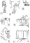 image036.gif