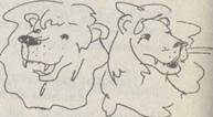 image036.jpg