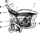 image102.jpg