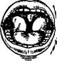 image182.jpg