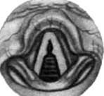 image188.jpg