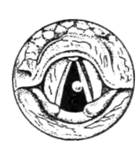 image190.jpg