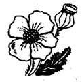 image123.png
