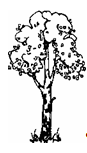 image003.png