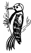 image023.png