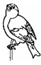 image024.png