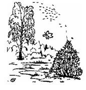 image027.png
