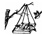 image033.png