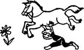 image022.jpg