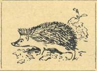 image064.jpg