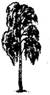 image114.jpg
