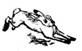 image120.jpg