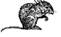image122.jpg