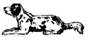 image124.jpg