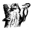 image245.jpg