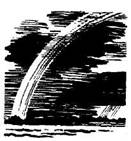 image297.jpg
