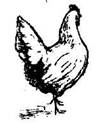image307.jpg