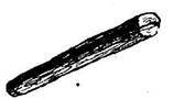 image309.jpg