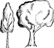 image036.jpg