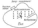 image136.jpg