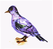 image102.gif