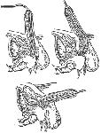 image014.gif