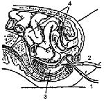 image018.gif