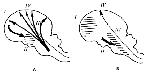 image128.gif