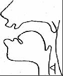 image014.gif
